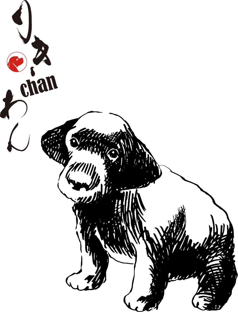 人気Youtubeチャンネル「岸田チャンネル」で紹介されました!