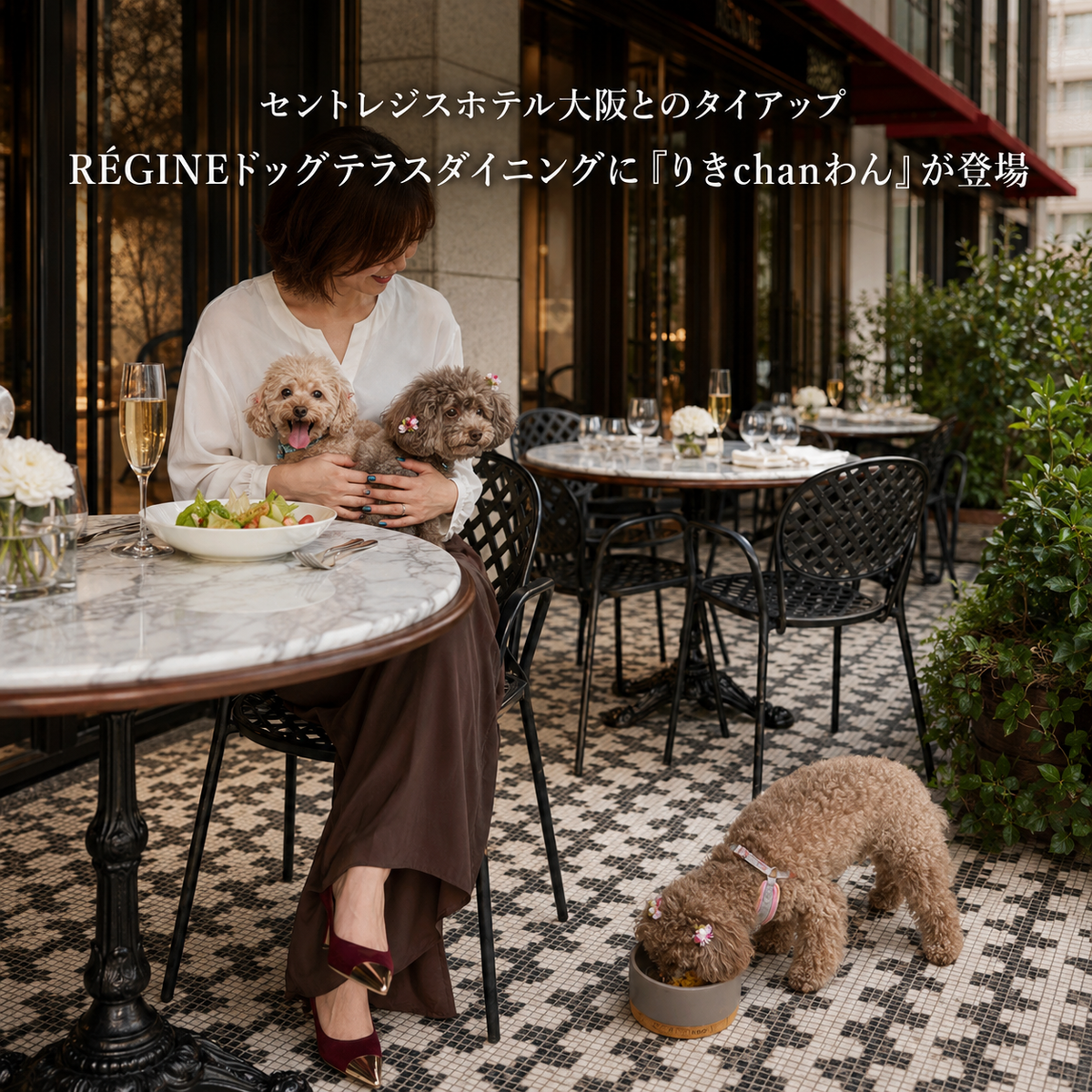 セントレジスホテル大阪「RÉGINEドッグテラスダイニング」に、りきchanわんが登場